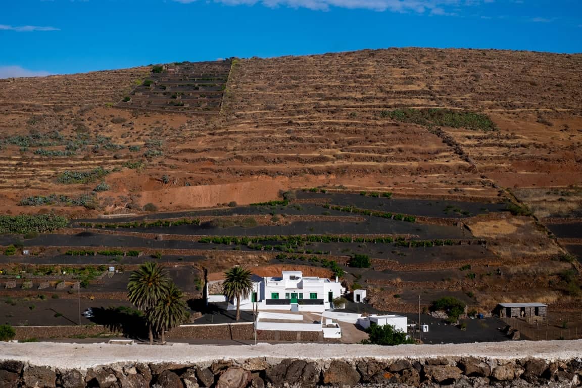Hektor, Teguise
